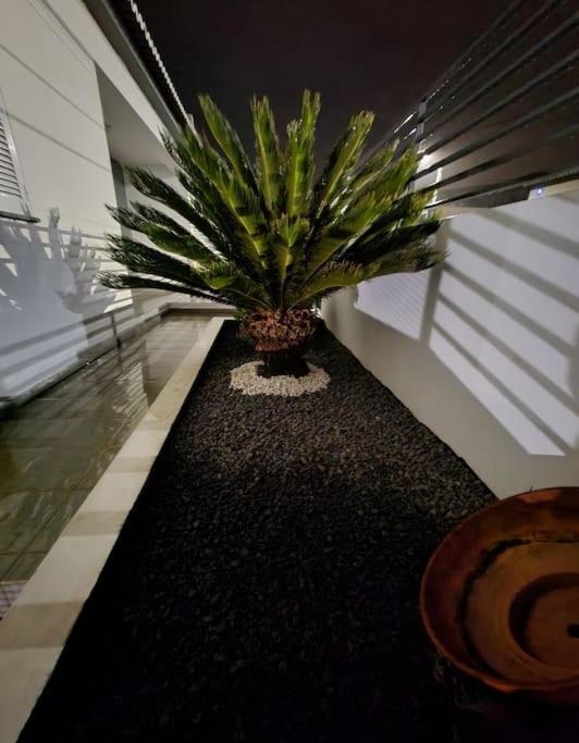 Vila Da Pesca House Rabo de Peixe Buitenkant foto